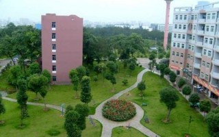 金华职业技术大学的舞蹈风采：舞台背后的青春故事