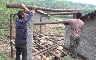 探秘湖南园林修剪技艺：石头造型与石楠修整的融合之道