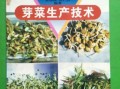 冬日里的那一抹绿：讲讲刺嫩芽反季种植的门道