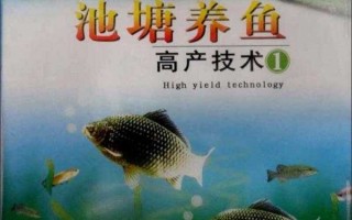 瞧一瞧这些让鱼塘产量翻倍的妙招儿