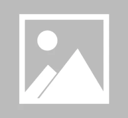 2024年IT技术风暴：掌握这五大热点，抢占职业制高点！