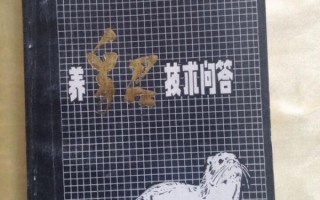 养貂想赚钱 这些窍门你得先搞懂（血泪经验版）