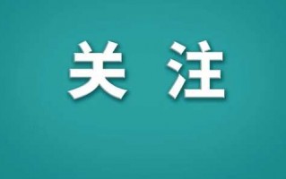 人工智能误判整理内容全解析：告别烦恼轻松上手