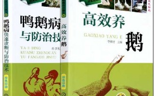 从雏苗到成鹅：手把手教你科学养鹅的门道