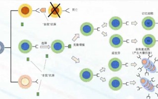聪明写作的艺术：在AI检测与SEO优化间找到精妙平衡