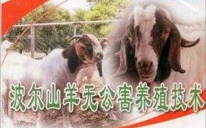 养山羊技术视频哪家强？老养殖户带你挑干货避坑