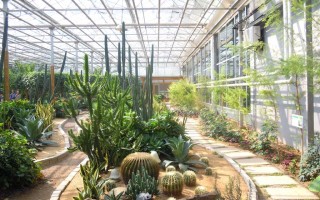 打造你的绿色竞争力：园林技术农艺类知识体系全导航