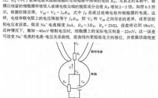 探秘微观生命电流：膜片钳技术如何打开细胞通讯的“黑匣子”