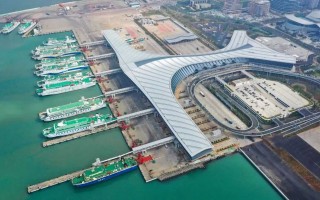 海南自贸港技术环境大观：创新热带雨林如何滋养数字未来？