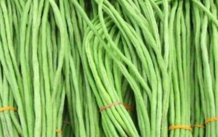 夏秋豆角好种活？这几个关键点不注意，种了也是白忙活！