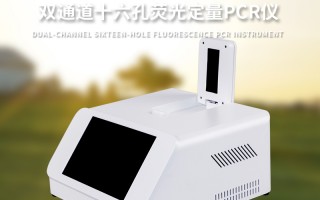 基因扩增的魔法剧场：动起来的PCR过程图藏着啥门道