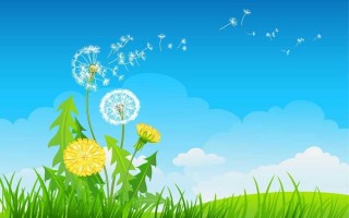 寒露智能舞深秋韵律数字艺术创作