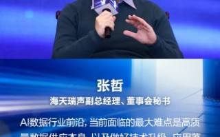 AI江湖里的张哲们：原来AI高手都是多面手