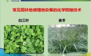 技术三除如何让生活更轻松自在