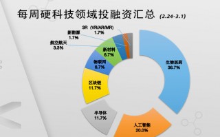 信息技术融资大揭秘：手把手教你搞定资金那点事儿