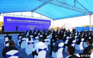 探秘固碳黑科技：让混凝土“吃”碳，微藻“吸”废气，这家公司想把生态修复做成大疆那样