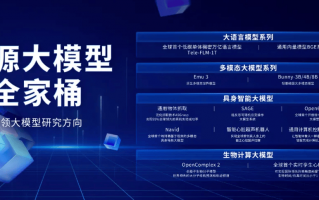 产业森林里的共生密码：解读身边那些“既竞争又抱团”的技术高地