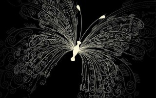 指尖幻舞，当蝴蝶线条邂逅AI魔法