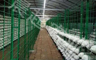 给城市“做微创手术”的箱涵网格技术，到底有多厉害？