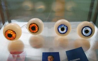 从神话走进现实的生物“复印术”：一文看懂克隆技术的今世与前路